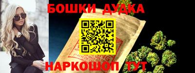 индика Заволжье