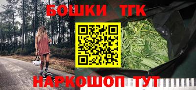индика Заволжье
