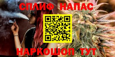 индика Заволжье